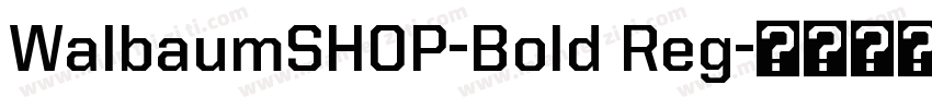 WalbaumSHOP-Bold Reg字体转换